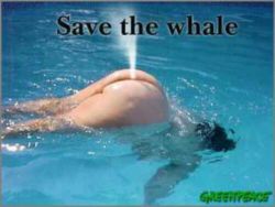 Save-The-Whales-352